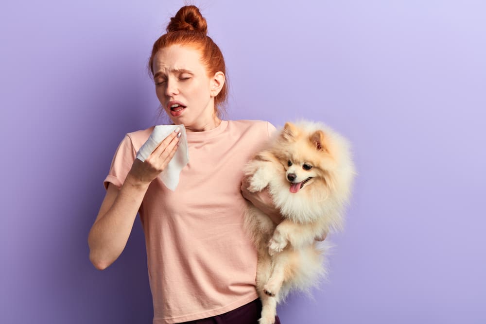 Best Dog Breeds for Allergies
