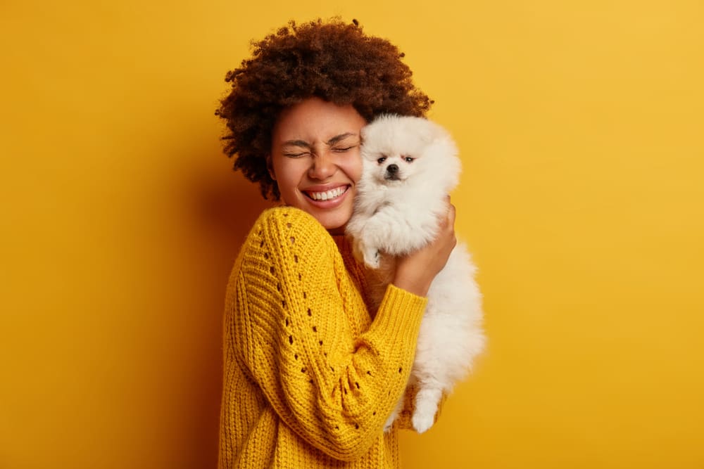 Cutest Dog Breeds