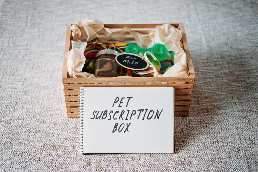 A great holiday gift for your puppy is to get him a dog supply subscription from a reputable company like Barkbox or Sundays, as featured here in this image. 
