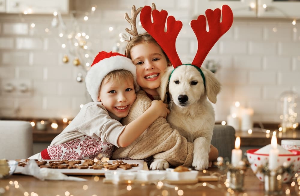 Best Holiday Gifts for Your Puppy