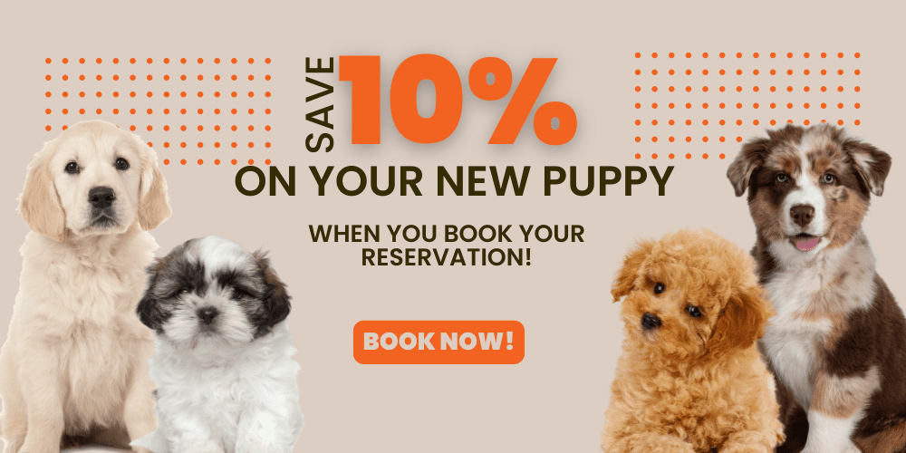 Puppies For Sale Banner