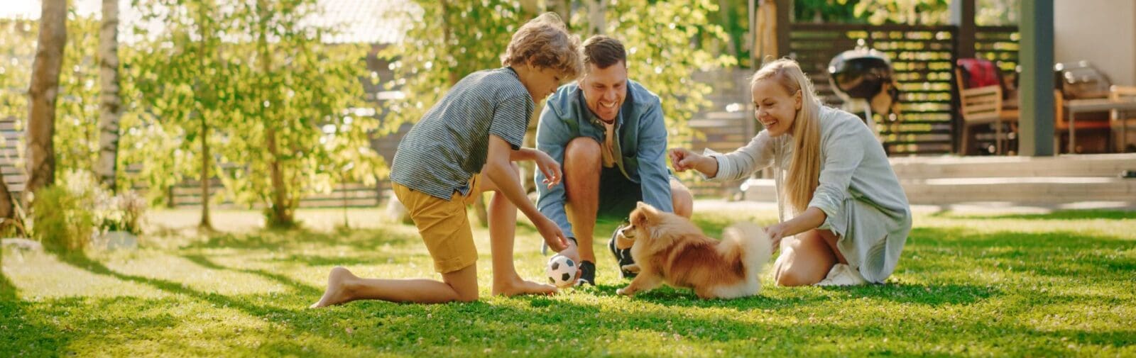 Find Your Perfect Puppy! banner