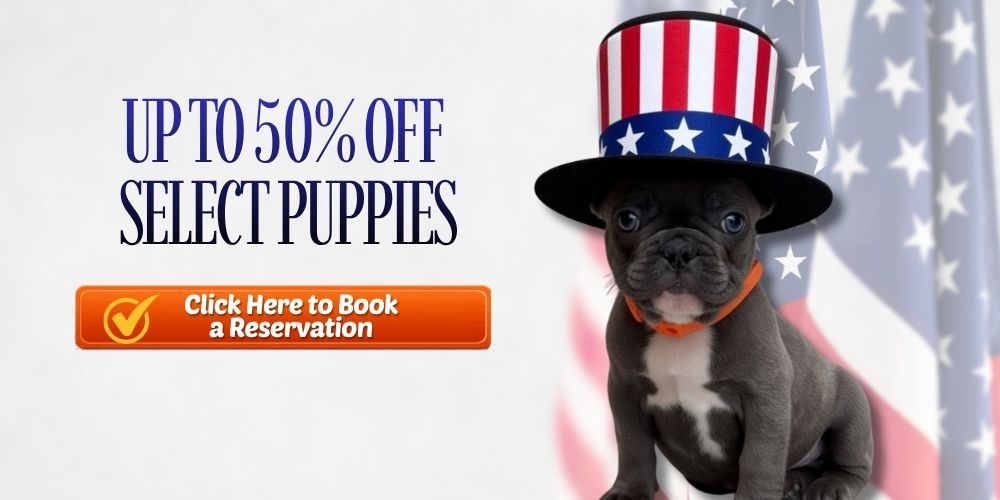 Book In-Store Visit